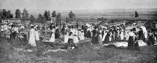 Die Mitglieder der Bloemfontein Loyal Womens Guild schmücken Gräber auf dem Friedhof von Bloemfontein, Illustration aus The King, 25. Mai 1901